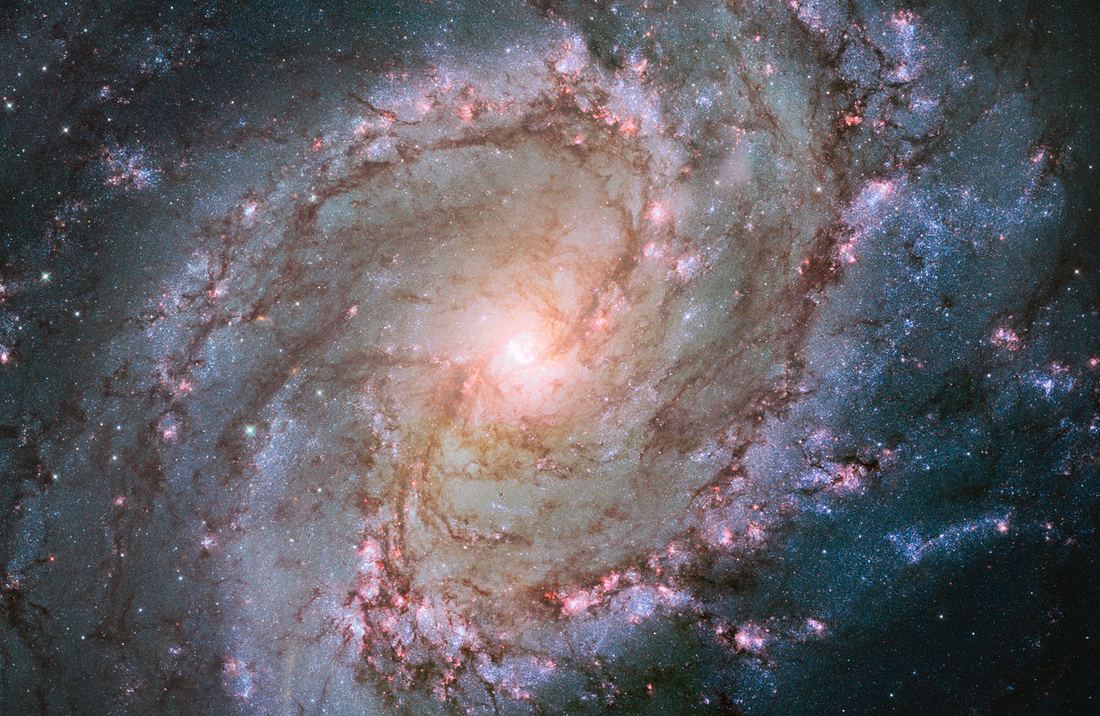 Galáxia espiral vista de frente, com núcleo amarelado e braços salpicados de aglomerados azuis, nebulosas rosadas e faixas escuras de poeira sobre fundo preto.